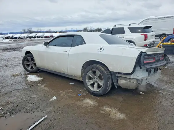 2C3CDZAG6KH524659 2019 DODGE CHALLENGER - Image 2