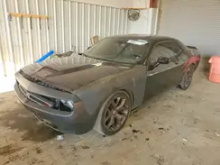 2C3CDZBT1KH556950 2019 DODGE CHALLENGER