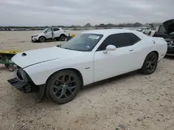2C3CDZBT1KH627709 2019 DODGE CHALLENGER