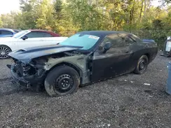 2C3CDZBT5MH559563 2021 DODGE CHALLENGER
