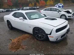 2C3CDZBT6JH318204 2018 DODGE CHALLENGER