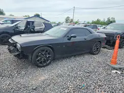 2C3CDZBT6KH521241 2019 DODGE CHALLENGER