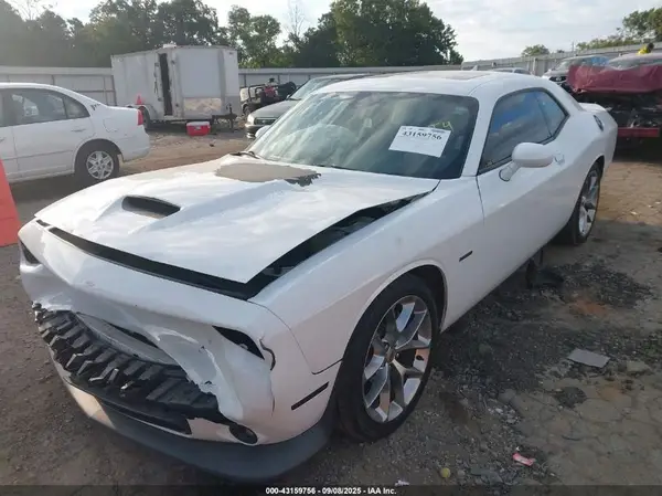 2C3CDZBT8KH759253 2019 DODGE CHALLENGER - Image 2