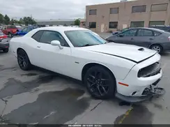 2C3CDZBTXKH513286 2019 DODGE CHALLENGER