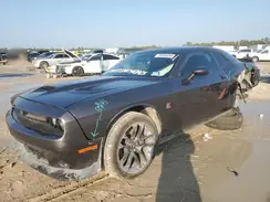 2C3CDZFJ0PH618029 2023 DODGE CHALLENGER