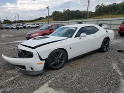 2C3CDZFJ3KH581521 2019 DODGE CHALLENGER