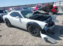 2C3CDZFJ3KH724029 2019 DODGE CHALLENGER