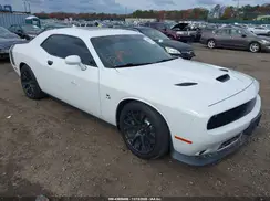 2C3CDZFJ4KH509260 2019 DODGE CHALLENGER