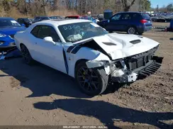 2C3CDZFJ8KH662417 2019 DODGE CHALLENGER
