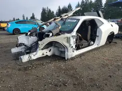 2C3CDZFJXJH175315 2018 DODGE CHALLENGER