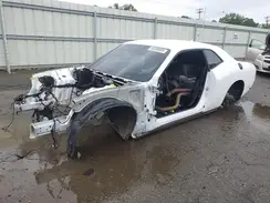 2C3CDZFJXKH723833 2019 DODGE CHALLENGER
