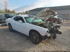 2C3CDZGG4KH690413 2019 DODGE CHALLENGER