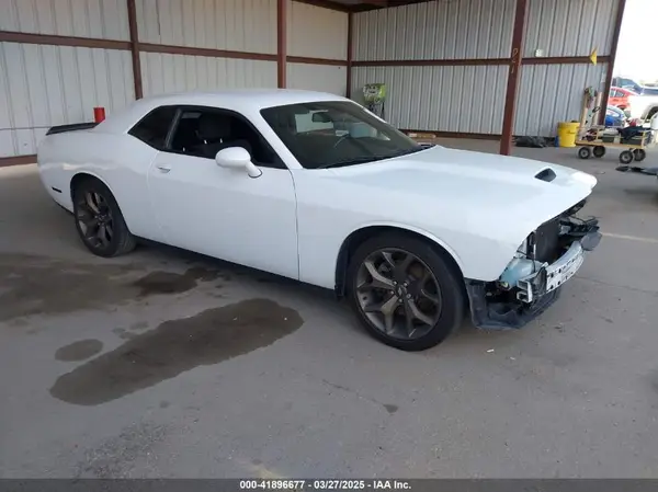 2C3CDZJG6KH756422 2019 DODGE CHALLENGER - Image 1