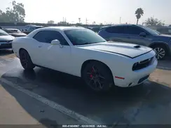 2C3CDZJG7KH503920 2019 DODGE CHALLENGER