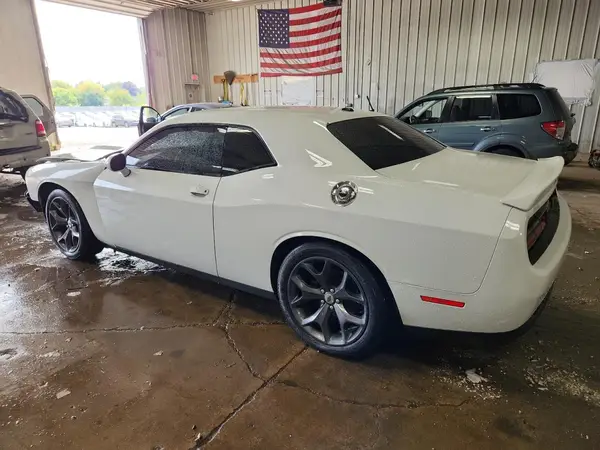 2C3CDZJG8KH596544 2019 DODGE CHALLENGER - Image 2