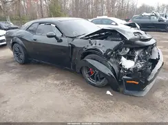 2C3CDZL91KH691445 2019 DODGE CHALLENGER