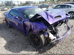 2C3CDZL95KH606266 2019 DODGE CHALLENGER