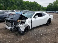 2C3CDZL98KH503133 2019 DODGE CHALLENGER