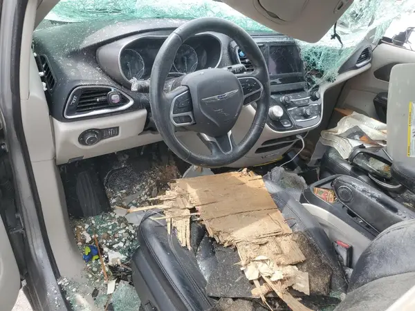 2C4RC1BG7LR125134 2020 CHRYSLER PACIFICA - Image 8