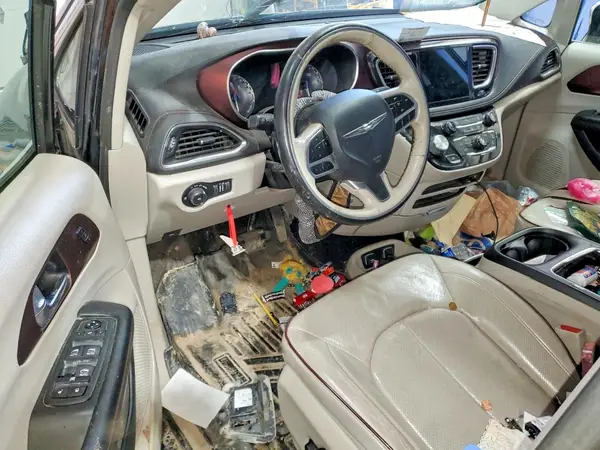 2C4RC1GG4LR114665 2020 CHRYSLER PACIFICA - Image 8