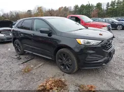 2FMPK4G94RBA51349 2024 FORD EDGE