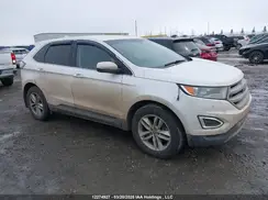 2FMPK4J80GBB19353 2016 FORD EDGE