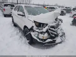 2FMPK4J82JBB54824 2018 FORD EDGE