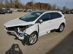 2FMPK4J98LBB46173 2020 FORD EDGE