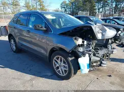 2FMPK4J9XRBA66608 2024 FORD EDGE