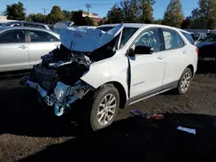 2GNAXHEV0K6176762 2019 CHEVROLET EQUINOX