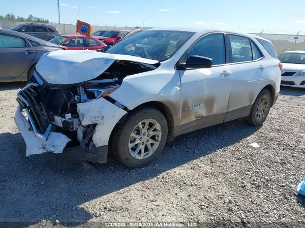 2GNAXHEV4K6163593 2019 CHEVROLET EQUINOX - Image 2