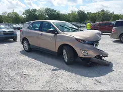 2GNAXHEV4K6253116 2019 CHEVROLET EQUINOX