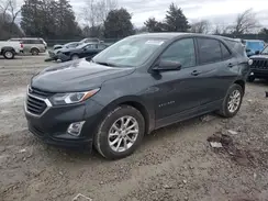 2GNAXHEV4L6255563 2020 CHEVROLET EQUINOX