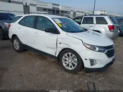 2GNAXHEV5K6148407 2019 CHEVROLET EQUINOX