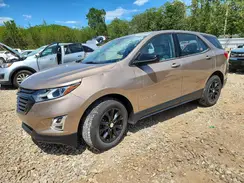 2GNAXHEV9K6226641 2019 CHEVROLET EQUINOX
