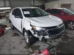2GNAXHEVXK6119565 2019 CHEVROLET EQUINOX