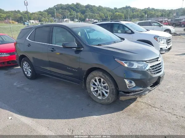 2GNAXJEV1L6216419 2020 CHEVROLET EQUINOX