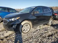 2GNAXJEV7K6194117 2019 CHEVROLET EQUINOX