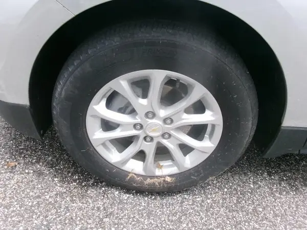 2GNAXJEV7L6231166 2020 CHEVROLET EQUINOX - Image 1