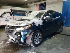 2GNAXJEV9K6239736 2019 CHEVROLET EQUINOX