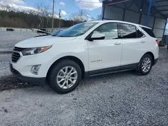 2GNAXKEV0K6141524 2019 CHEVROLET EQUINOX