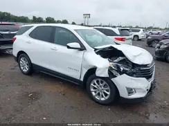 2GNAXKEV0L6244167 2020 CHEVROLET EQUINOX