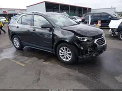 2GNAXKEV1K6175164 2019 CHEVROLET EQUINOX
