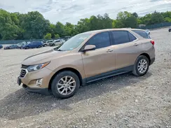 2GNAXKEV1K6244466 2019 CHEVROLET EQUINOX