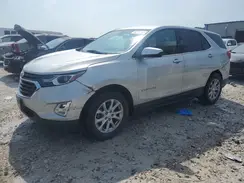 2GNAXKEV3K6101177 2019 CHEVROLET EQUINOX