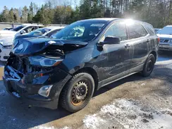 2GNAXKEV3K6232528 2019 CHEVROLET EQUINOX