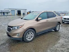 2GNAXKEV3K6234313 2019 CHEVROLET EQUINOX
