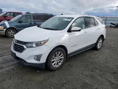 2GNAXKEV5K6132396 2019 CHEVROLET EQUINOX