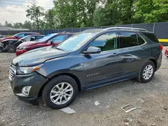 2GNAXKEV7K6131248 2019 CHEVROLET EQUINOX