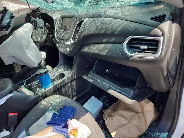 2GNAXKEV7L6137231 2020 CHEVROLET EQUINOX - Image 8